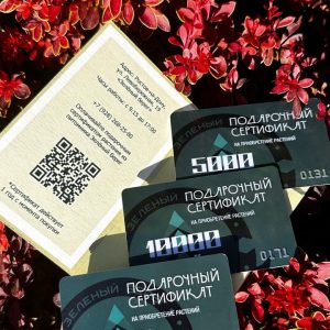 Питомник саженцев и декоративных растений в Ростове-на-Дону | Каталог