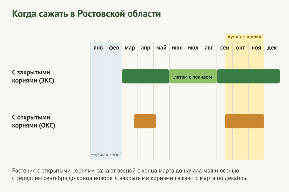 Когда сажать деревья и кустарники в Ростовской области: календарь посадки ЗКС и ОКС